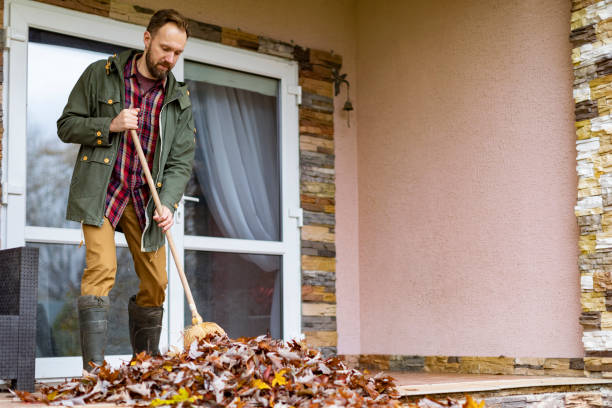 Best Dumpster Rental Services  in Mattawan, MI